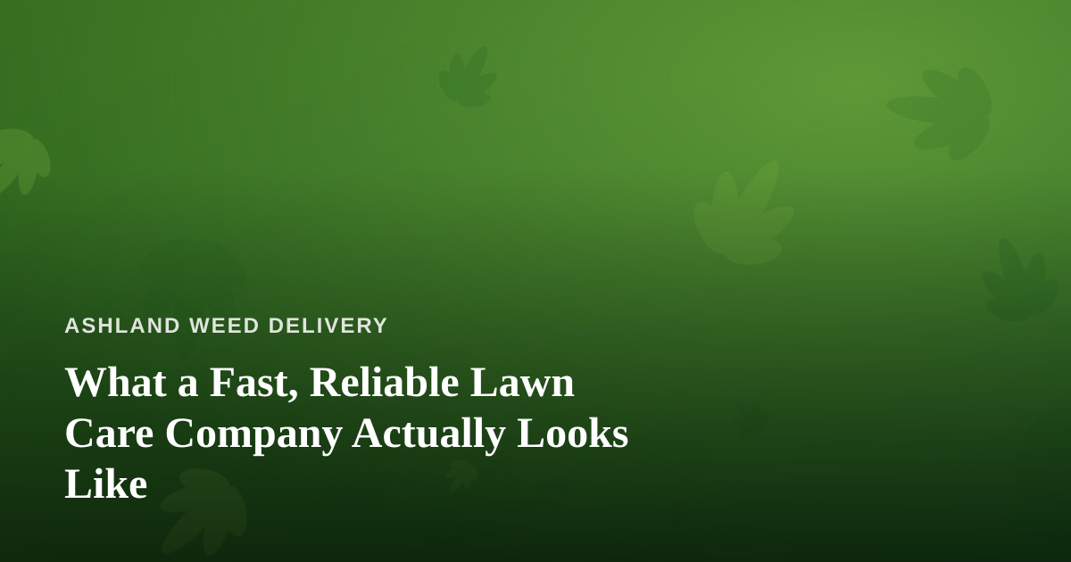 What a Fast, Reliable Lawn Care Company Actually Looks Like